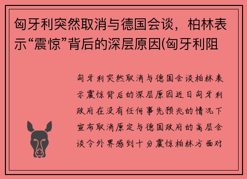 匈牙利突然取消与德国会谈，柏林表示“震惊”背后的深层原因(匈牙利阻止欧盟)