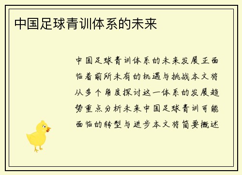 中国足球青训体系的未来