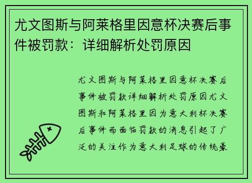 尤文图斯与阿莱格里因意杯决赛后事件被罚款：详细解析处罚原因