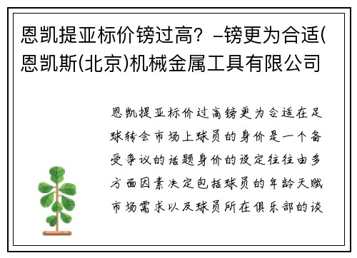 恩凯提亚标价镑过高？-镑更为合适(恩凯斯(北京)机械金属工具有限公司)