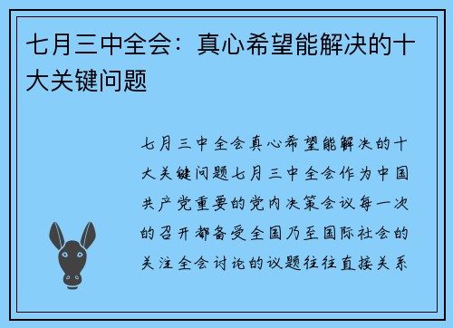 七月三中全会：真心希望能解决的十大关键问题